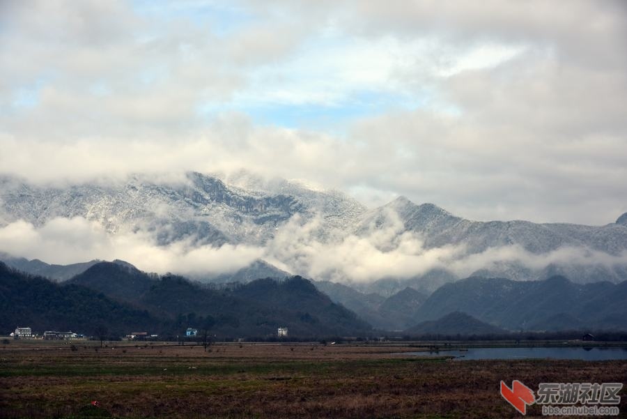 DSC_1230.jpg