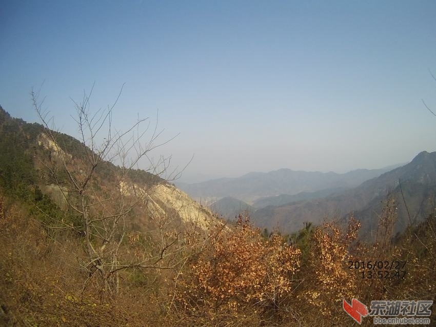 03.JPG