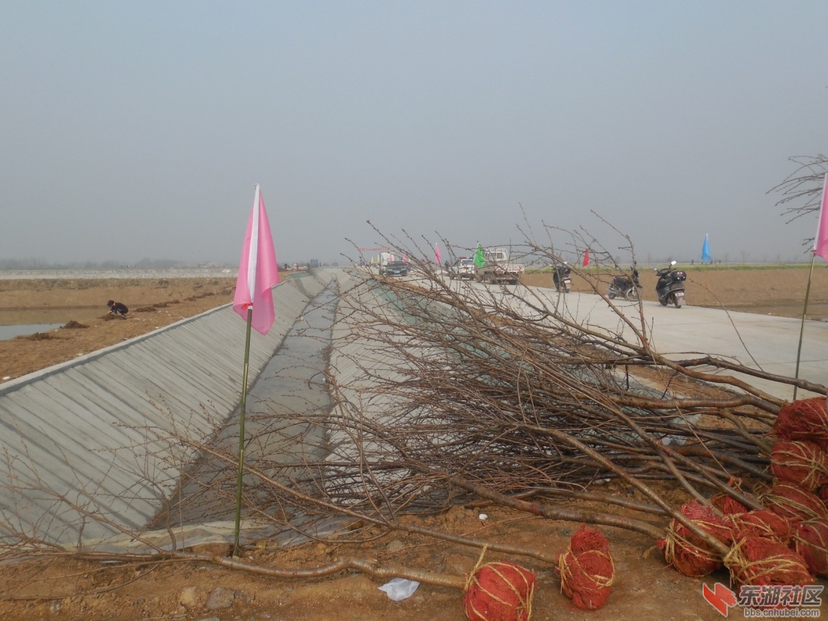 DSCN6645.JPG