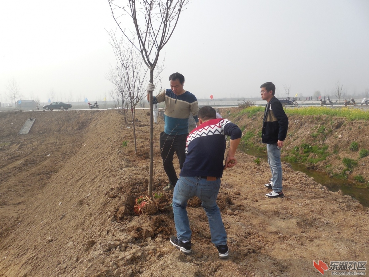 DSCN6653.JPG