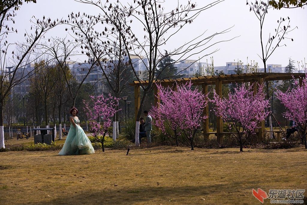 DSC_1346.jpg