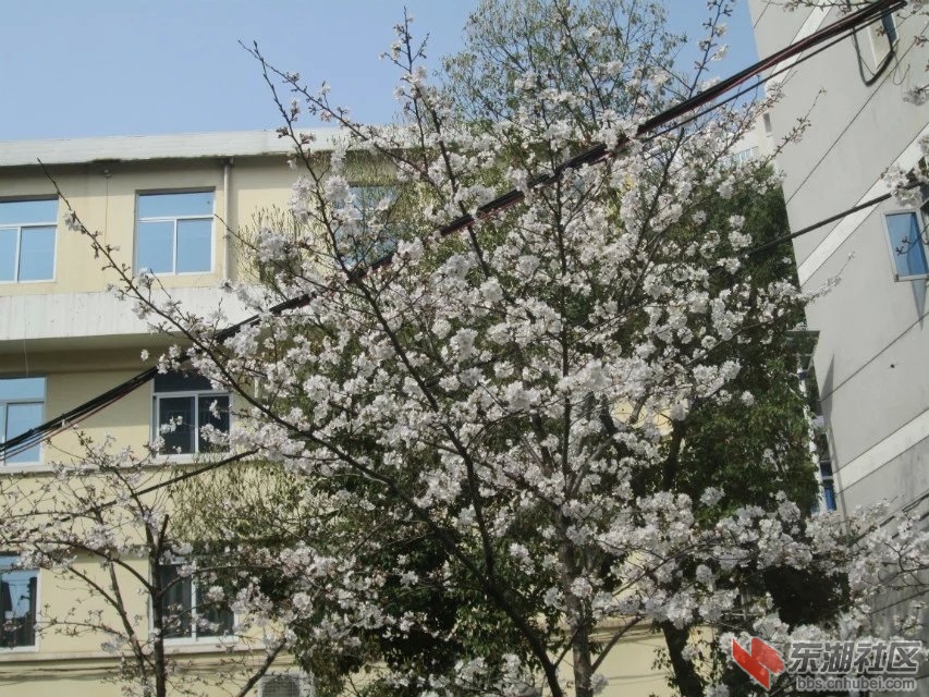 328.jpg
