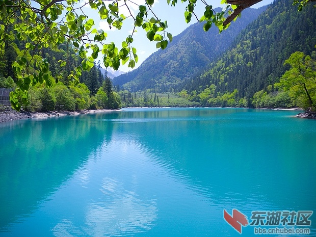 春九寨.jpg