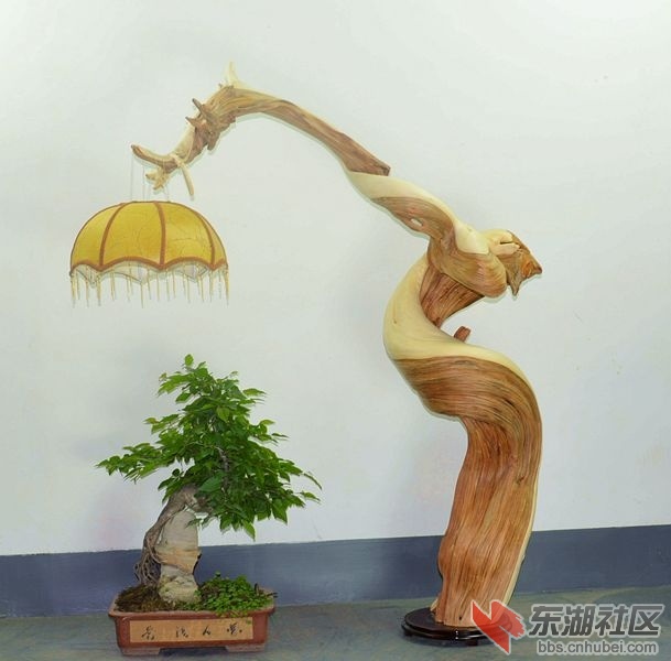 专业拍照 (7).jpg