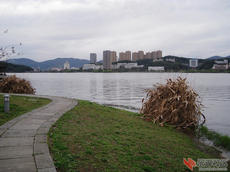 04.jpg