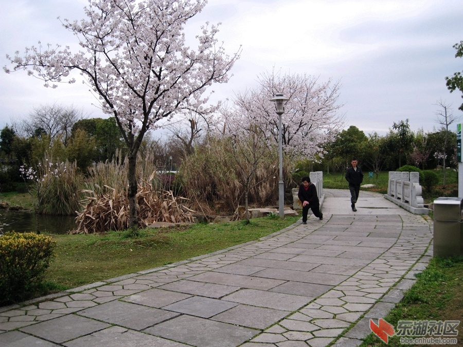 08.jpg