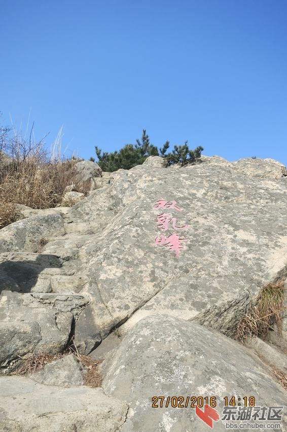 04.JPG