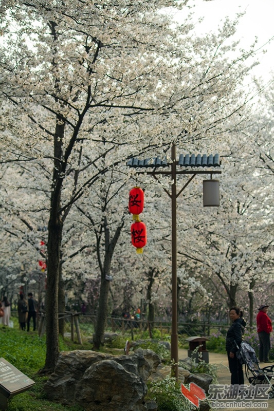IMG_6267.jpg