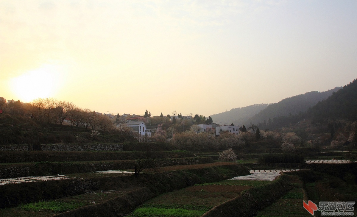8645.jpg