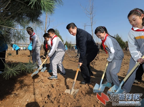 主席在植树.jpg