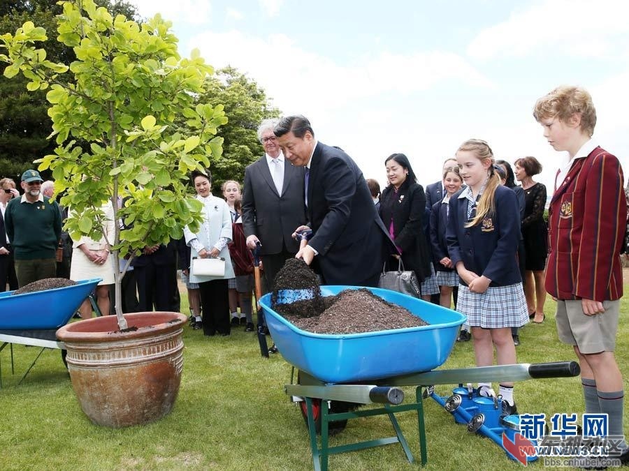 与国家友人一同植树.jpg