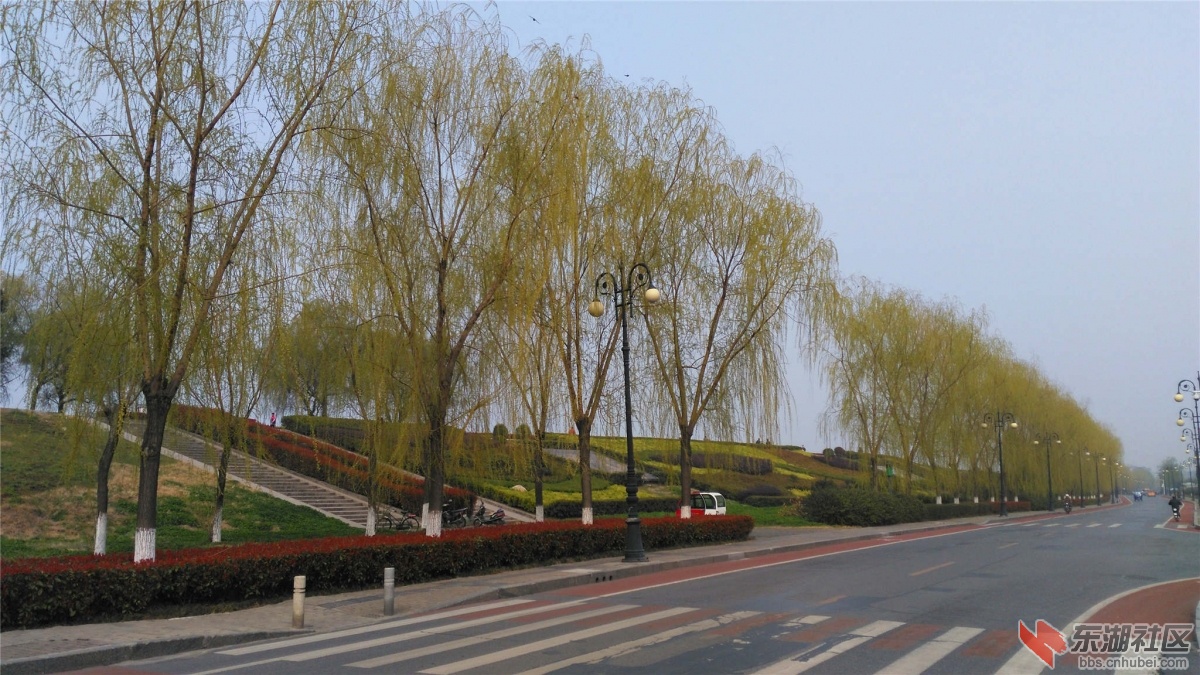 IMG_20160312_151221_副本.jpg