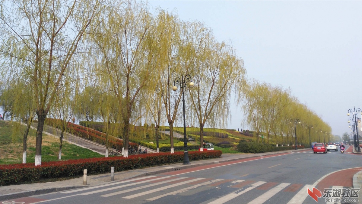 IMG_20160312_151234_副本.jpg