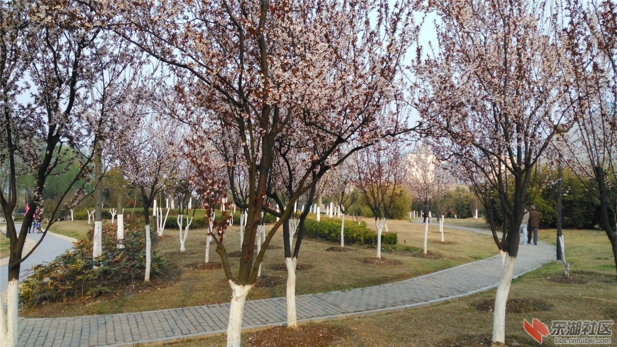 IMG_20160312_172422_副本.jpg