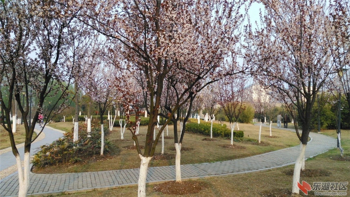 IMG_20160312_172435_副本.jpg