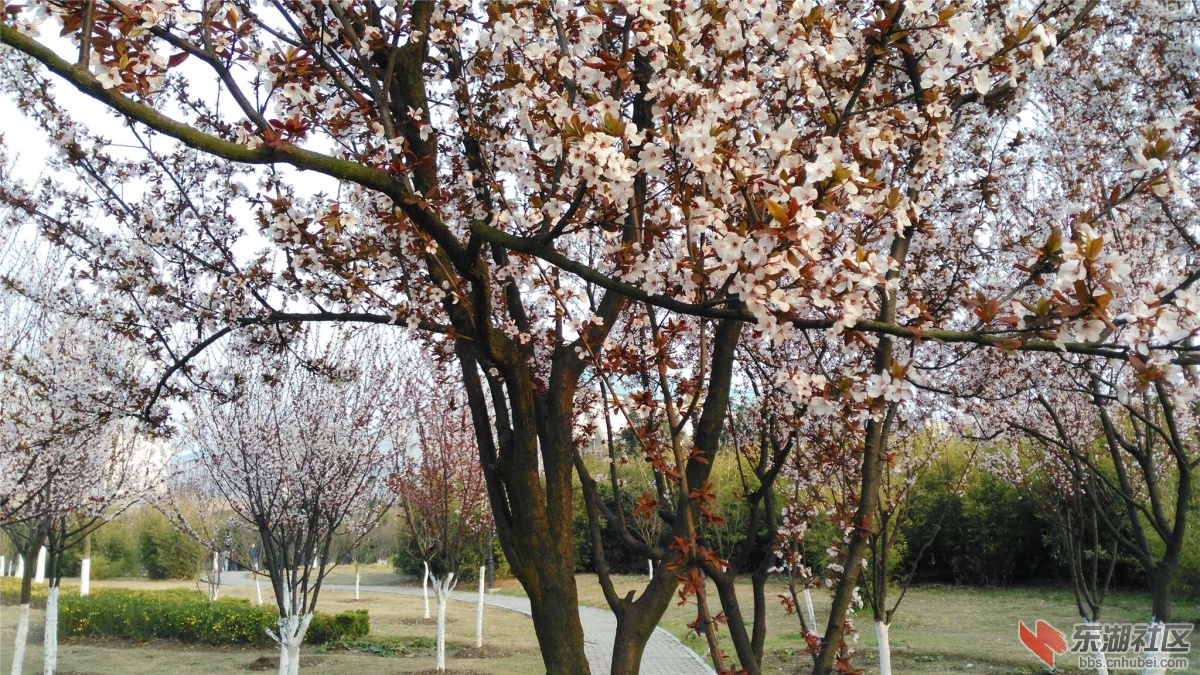 IMG_20160312_172516_副本.jpg