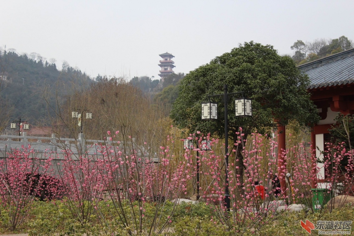 调整大小 IMG_9192.JPG