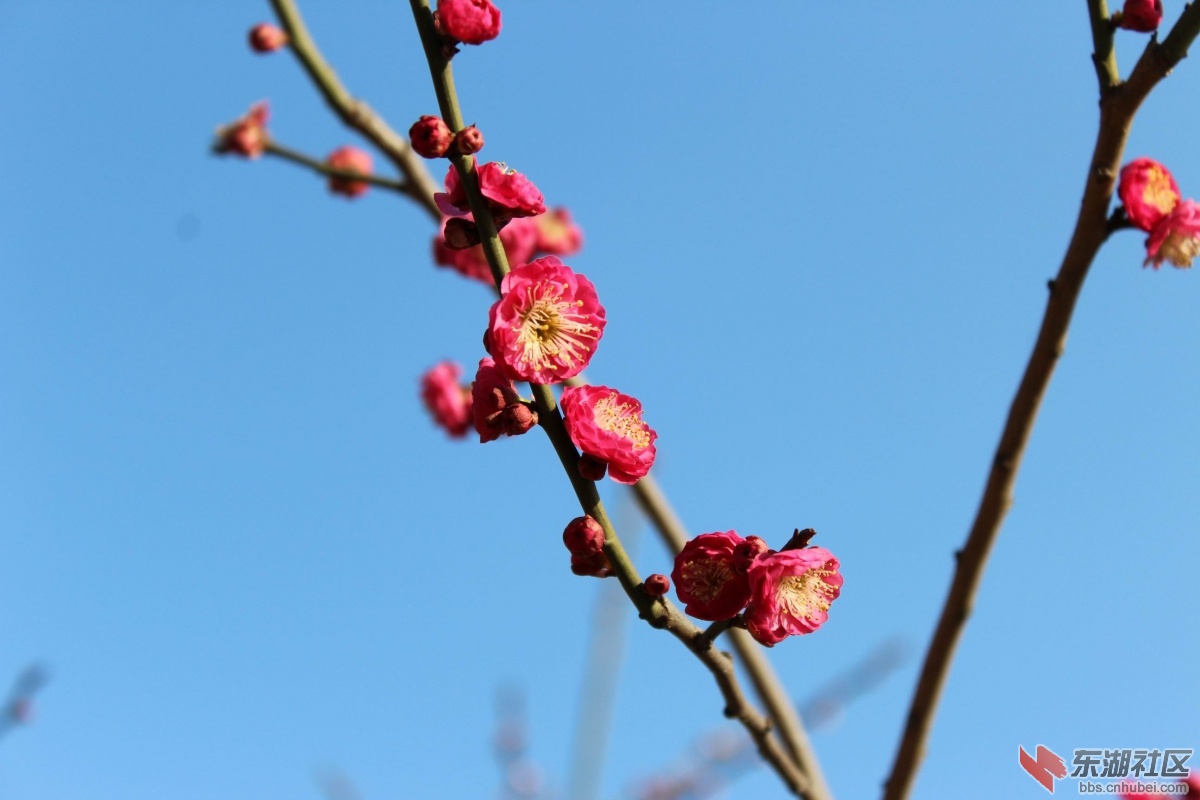 调整大小 IMG_8866.JPG
