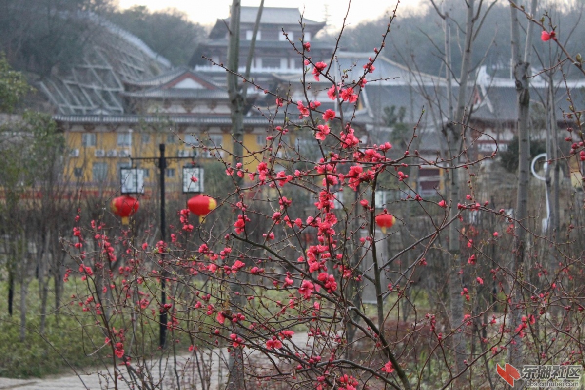 调整大小 IMG_9422.JPG