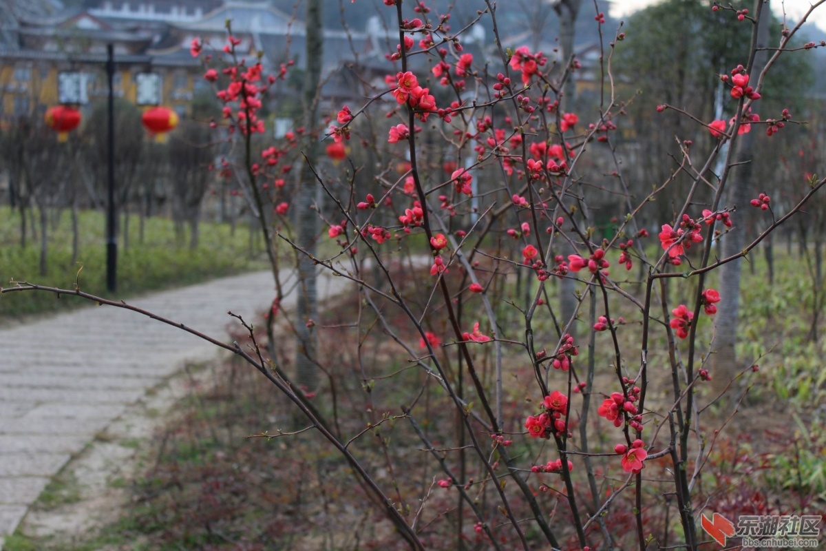 调整大小 IMG_9441.JPG