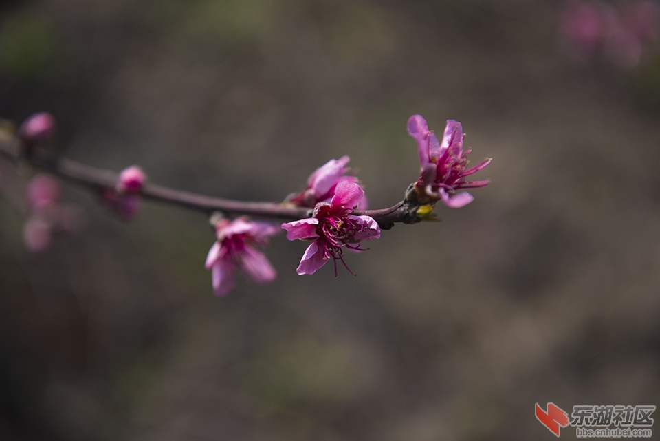 DSC_1408.jpg