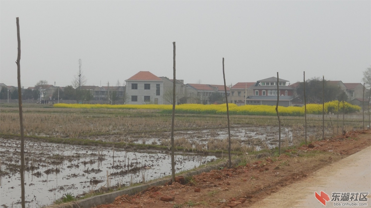 DSCN6827.JPG