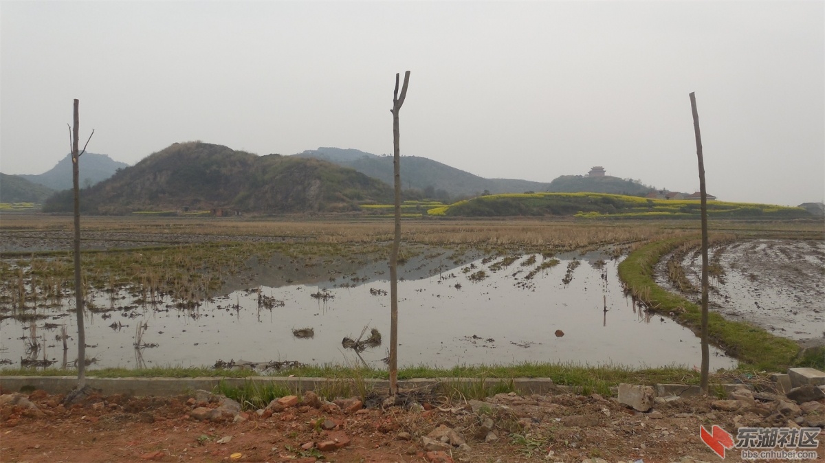 DSCN6829.JPG