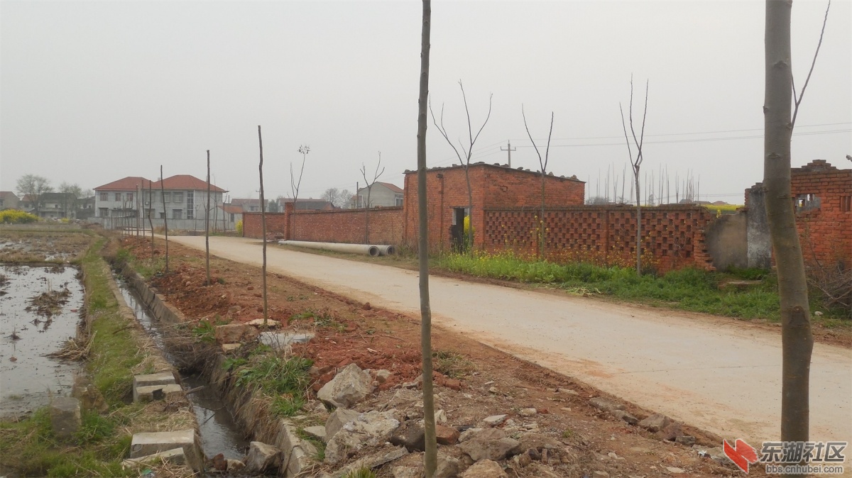 DSCN6832.JPG