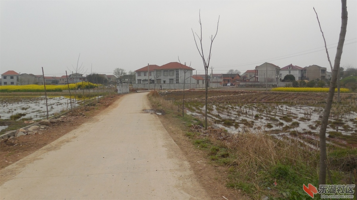 DSCN6851.JPG