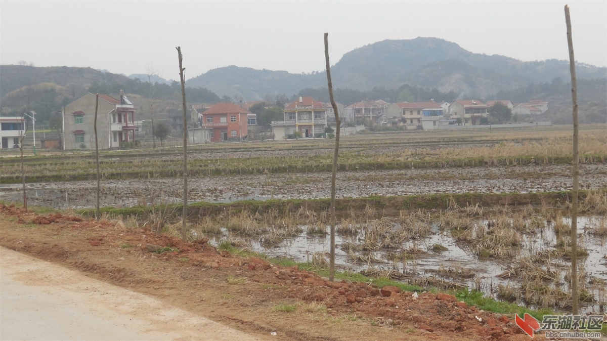 DSCN6853.JPG