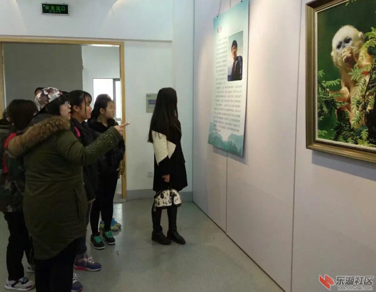 QQ图片20160311164056.jpg
