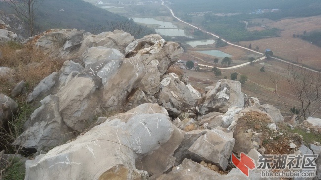 20160312_123020.jpg