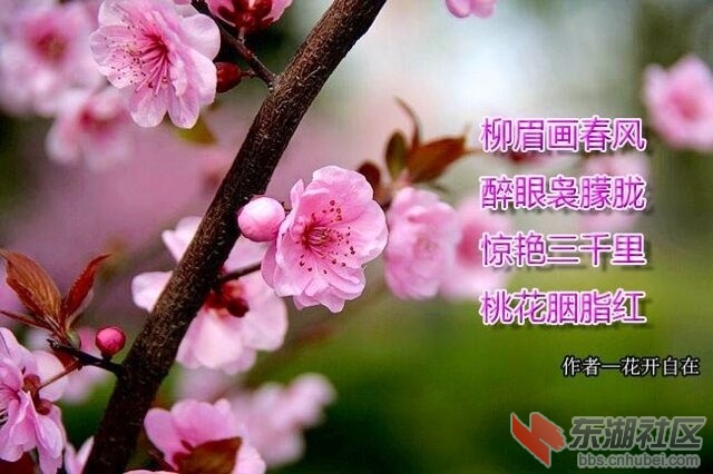 QQ图片20160314195228.jpg
