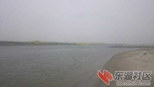 DSC_0241_comps.JPG
