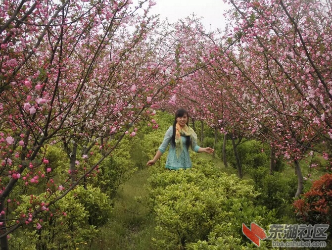 QQ截图20160318163151.jpg