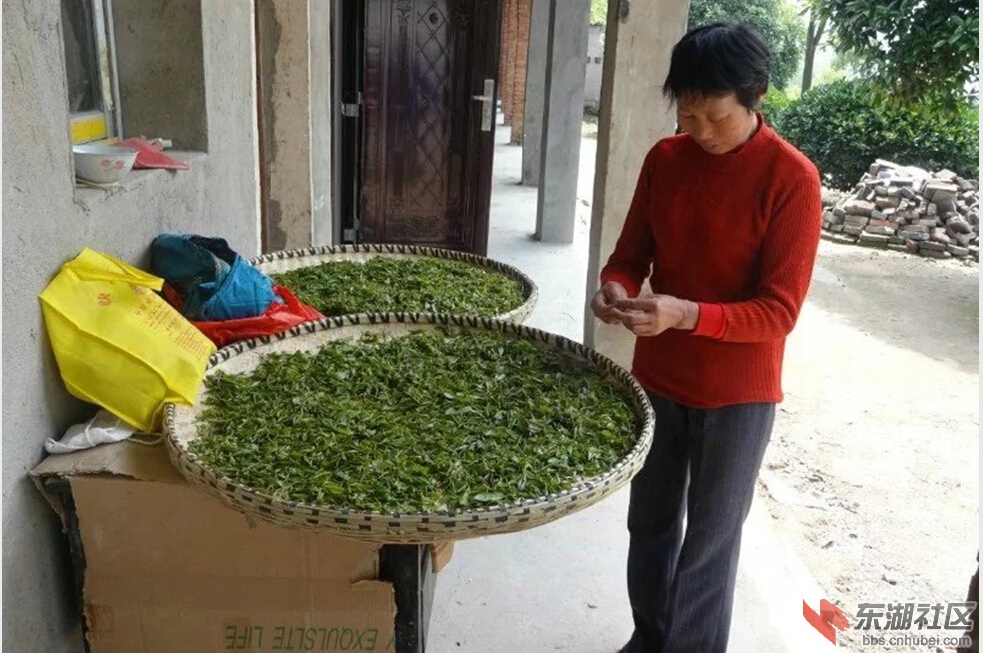 QQ截图20160318161033.jpg