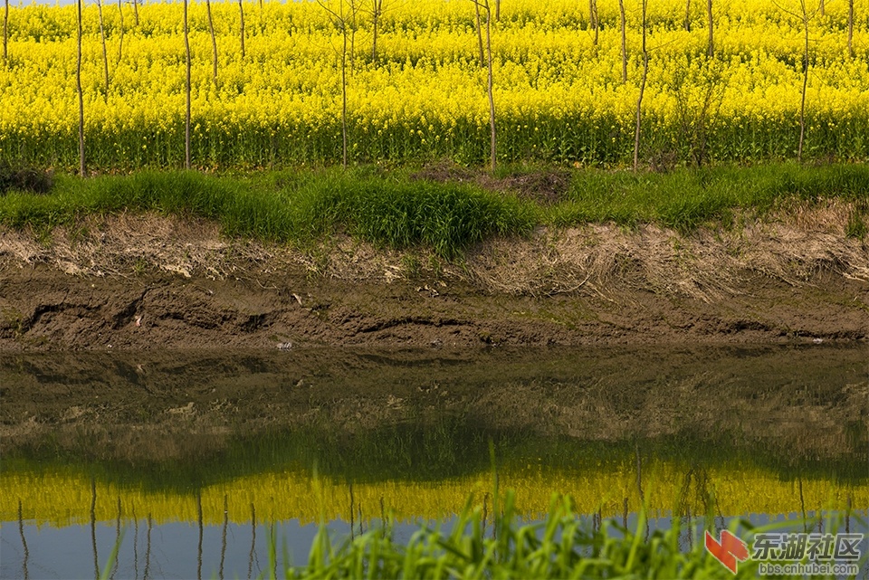 DSC_1862.jpg