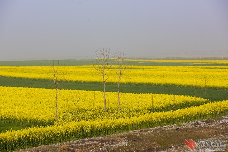 DSC_1769.jpg
