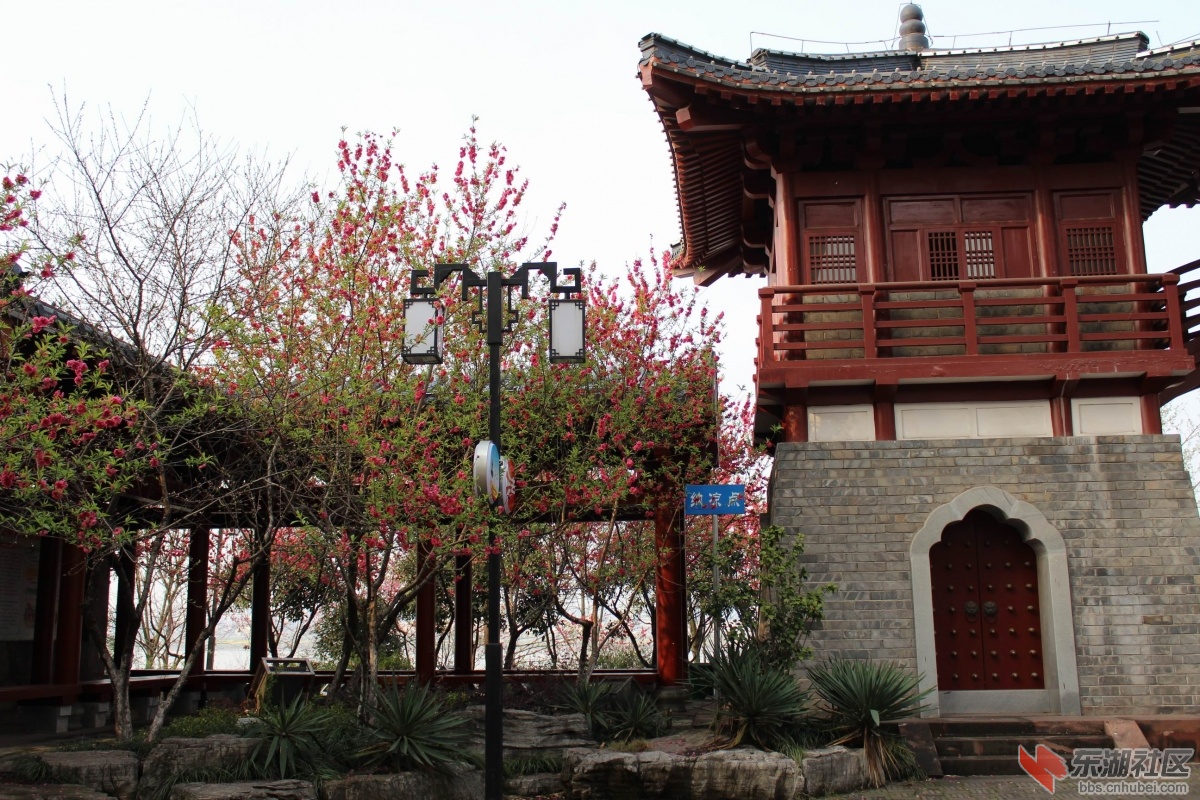 调整大小 IMG_0257.JPG