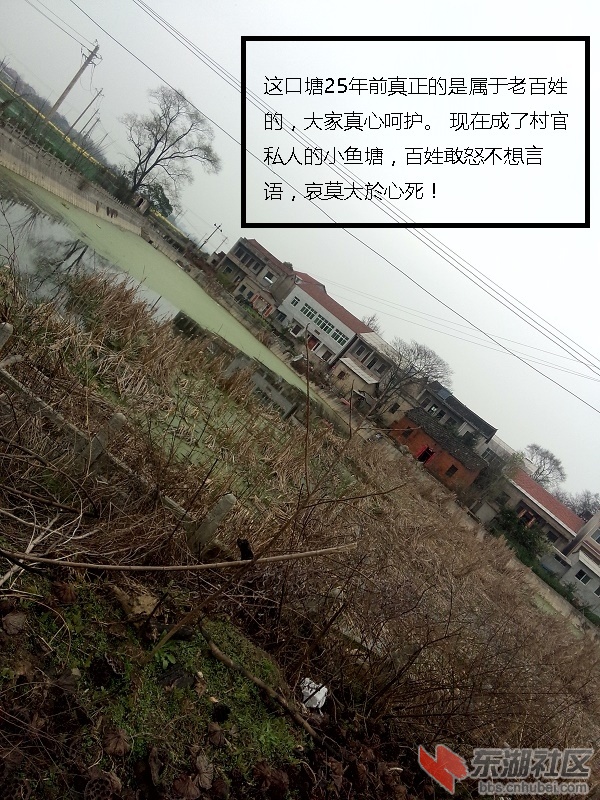 一村一塘-05.jpg