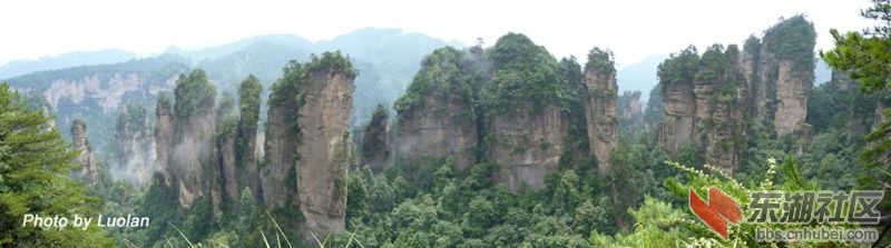 2012619202123821.jpg