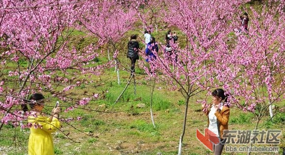 醉美希尔寨，鄂东生态园欢迎您！