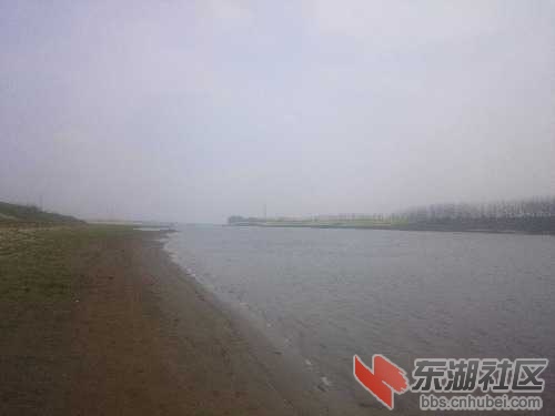 DSC_0313_comps.JPG
