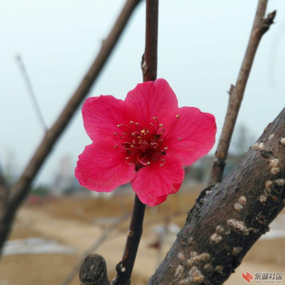IMG_20160324_073333_副本.jpg