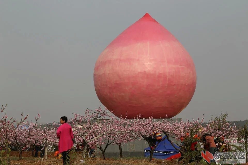 113.jpg