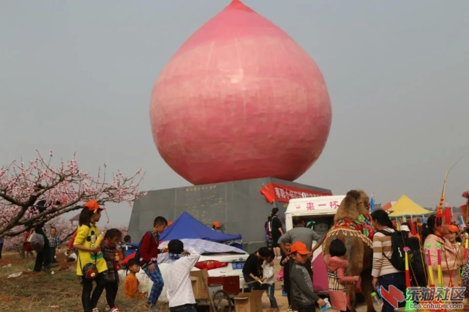 115.jpg