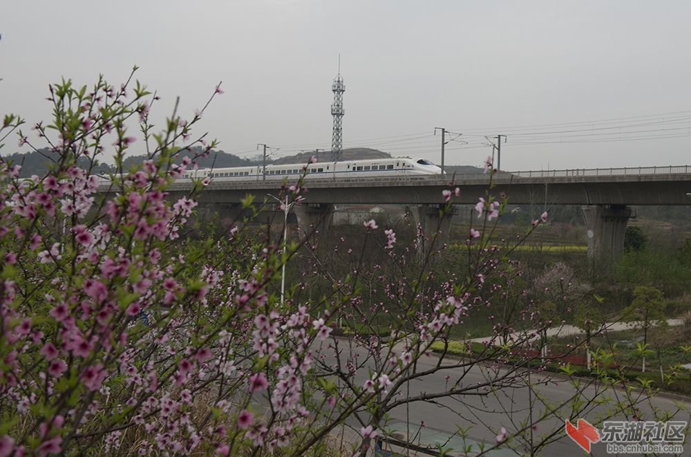 DSC_2882.jpg