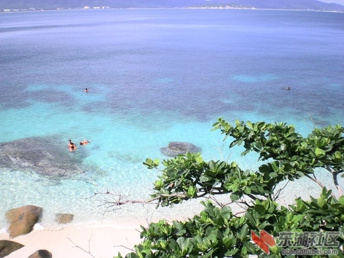 DSCN6565.JPG