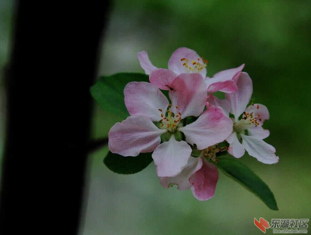 春暖花开5.jpg