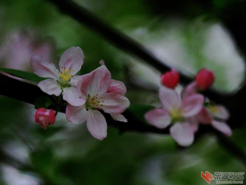 cn春暖花开1.jpg